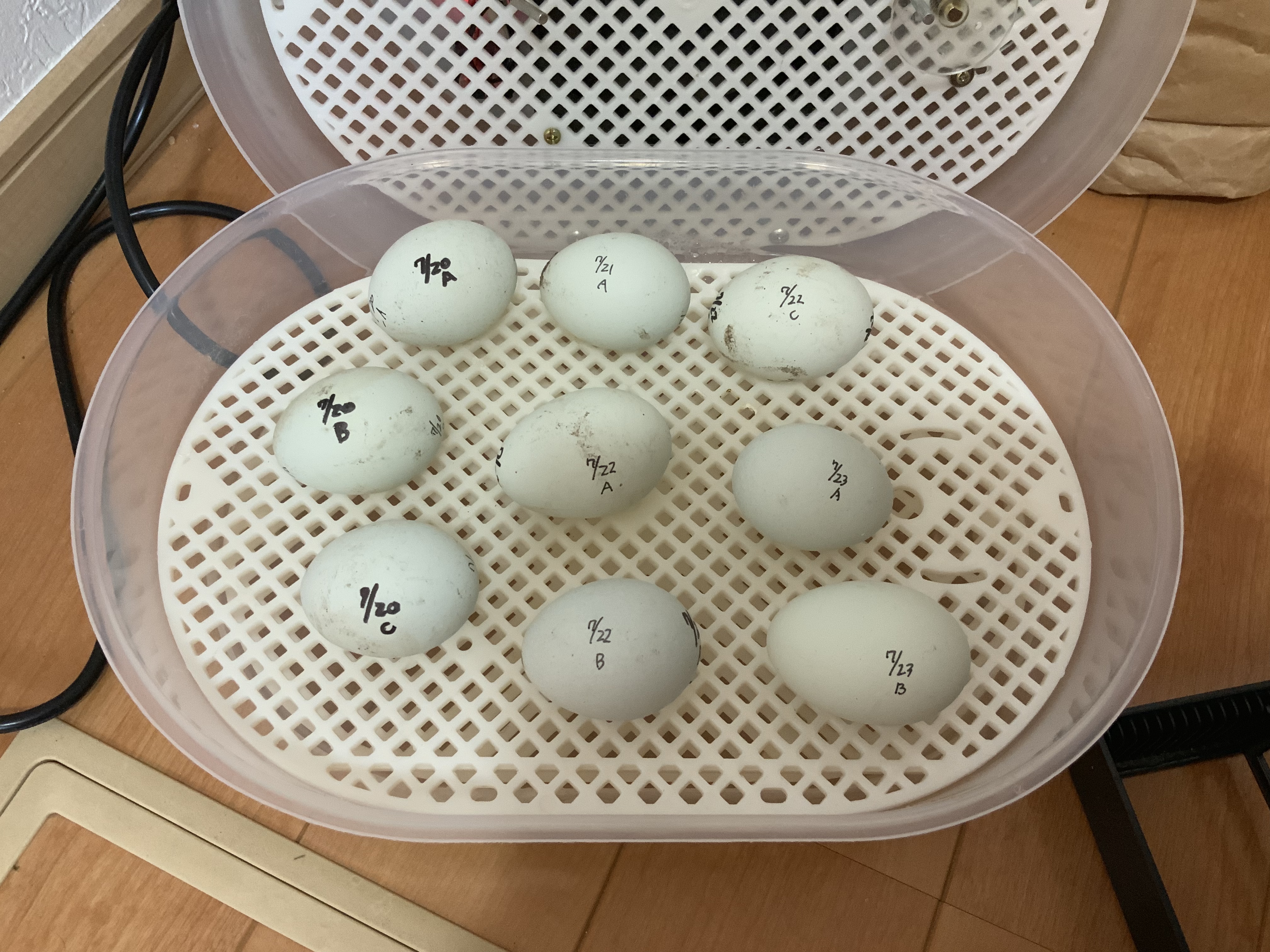 孵卵器 自動転卵 温度湿度管理 検卵LED付き Yahoo!フリマ（旧）+